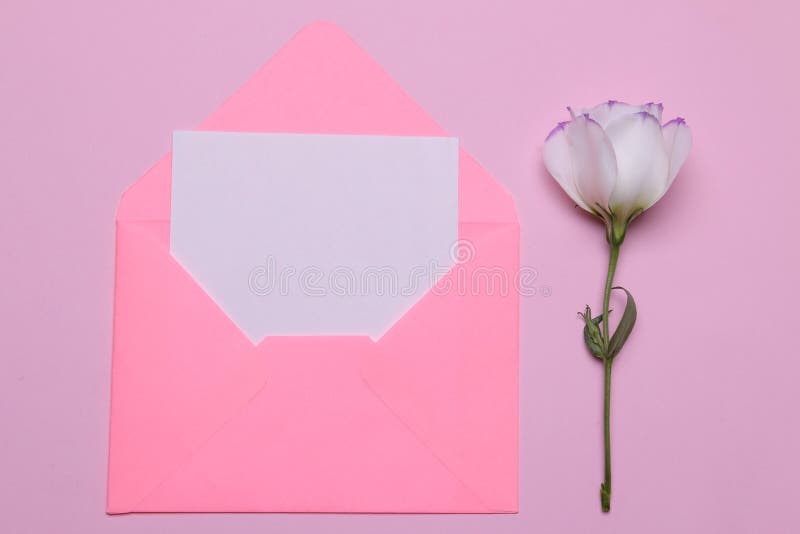 Beautiful white flowers. Eustoma with a blank for text on a bright pink background. view from above stock image