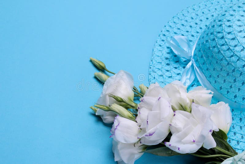 Beautiful white flowers. Eustoma bouquet with a hat on a bright blue background stock images