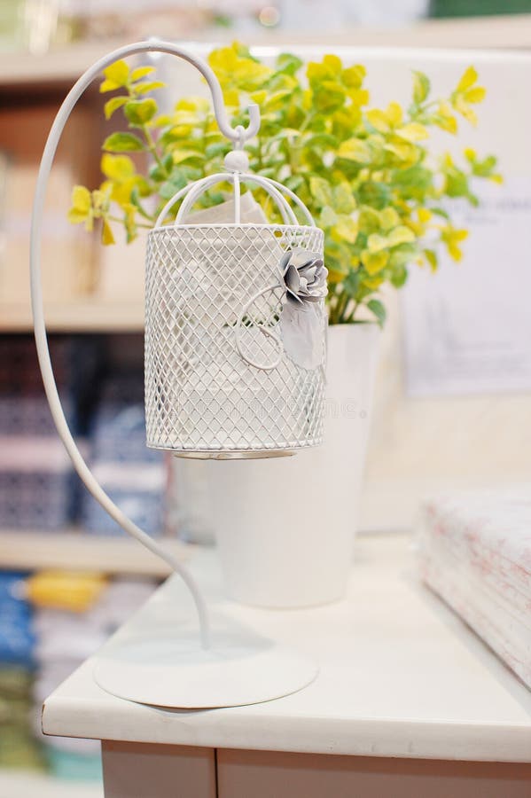 Beautiful White Flowers Stand on a Table Stock Photo Image of flower