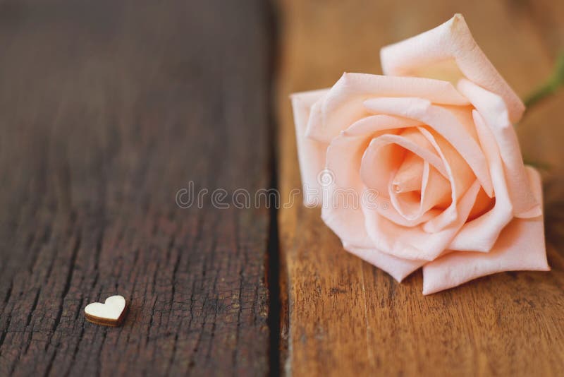 Beautiful white fresh moist rose flowers decorated with mini red heart figures on wood texture background, soft tone valentine