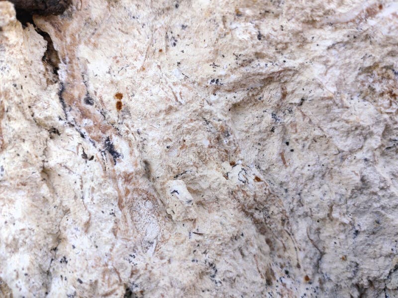 White limestone wall background texture royalty free stock photo