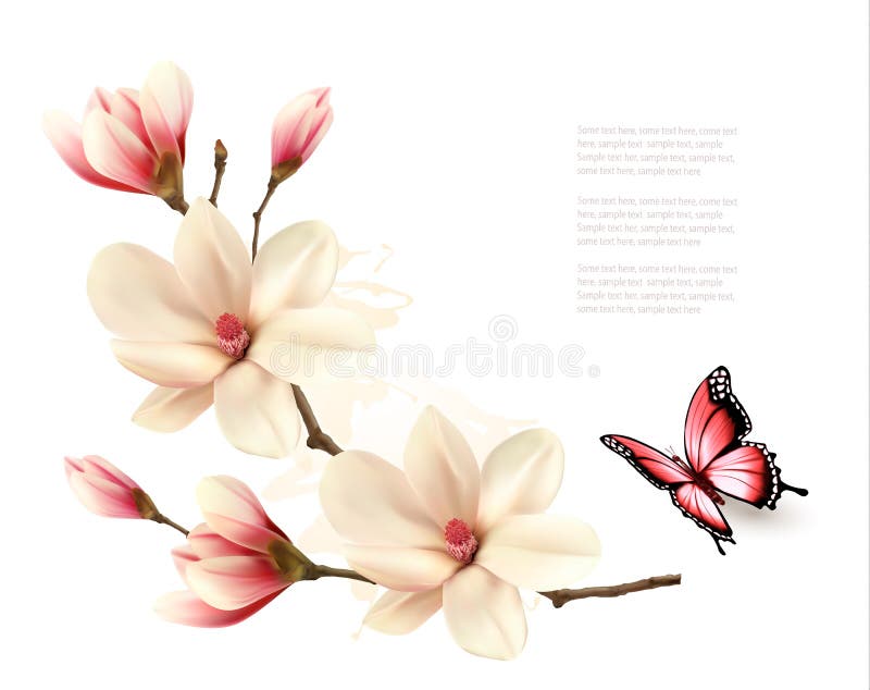 Beautiful white magnolia branch with a butterfly.