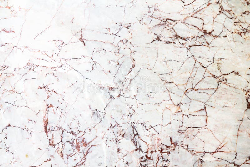 Beautiful White Marble Texture Stock Image Image of black, elegance
