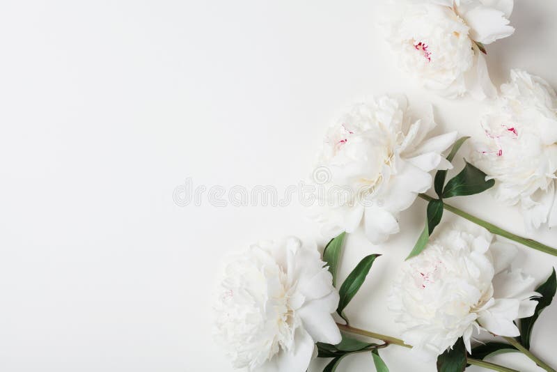 Beautiful white peony flowers bouquet on pastel table top. Flat lay style.