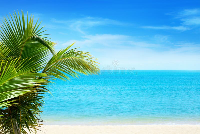 Beautiful white sand beach, blue sea water, clouds background, green palm tree leaves close up, vacation on exotic tropical island