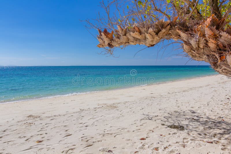 Beautiful White Sand White Sand Beach in Krabi Thailand Stock Image