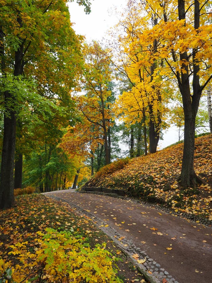 Beautiful Winter Garden the Leaves are Changing Color Stock Photo