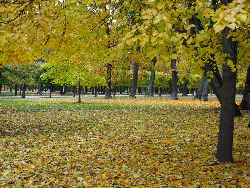 Beautiful Winter Garden the Leaves are Changing Color Stock Image