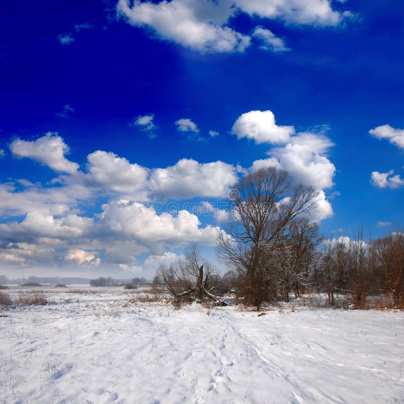 Beautiful winter sunset stock image. Image of cold, light 21556643