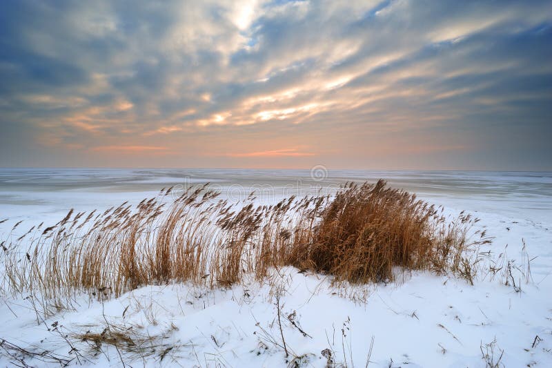 Beautiful winter landscape