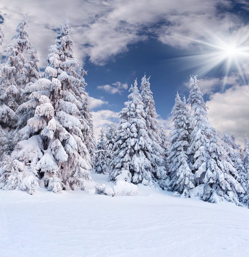 Winter Mountains stock image. Image of cloud, line, trees - 1030599