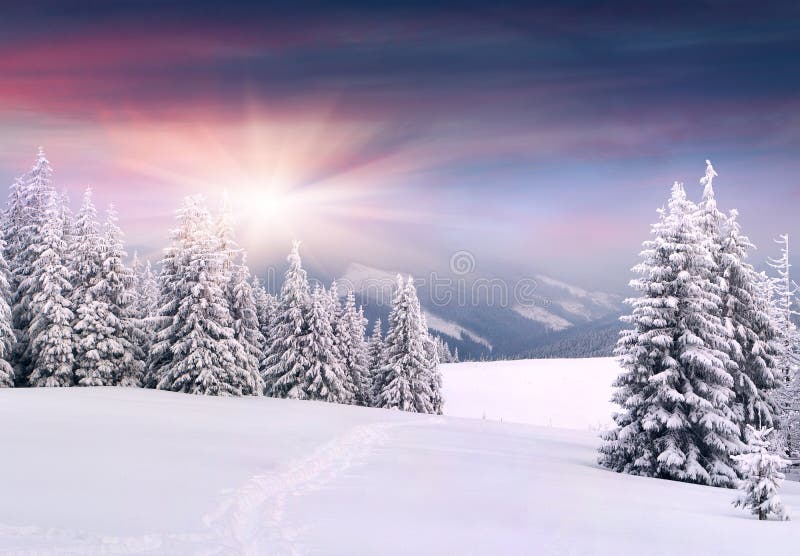 Beautiful winter landscape