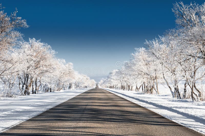 Beautiful winter landscape