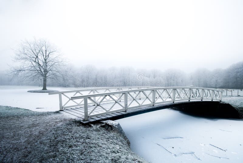 Beautiful winter landscape