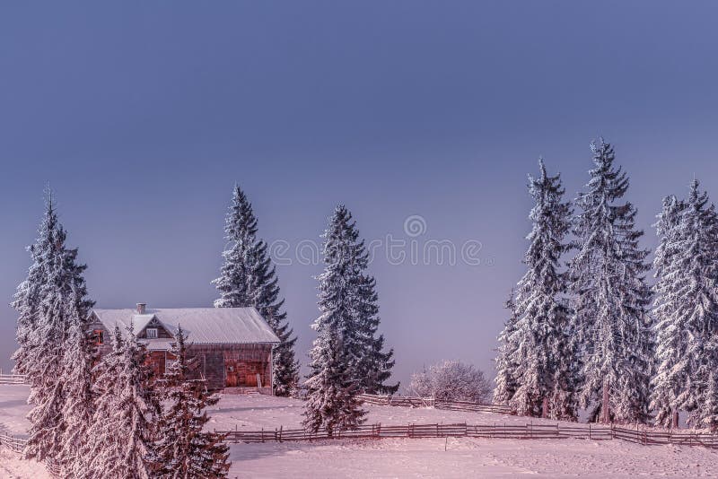 Beautiful winter landscape, forest hut covered with snow in the mountains. Vatra Dornei, Bucovina, Romania, Europe. Christmas holi