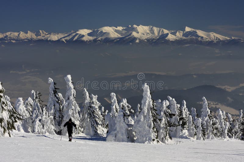 Beautiful winter Landscape