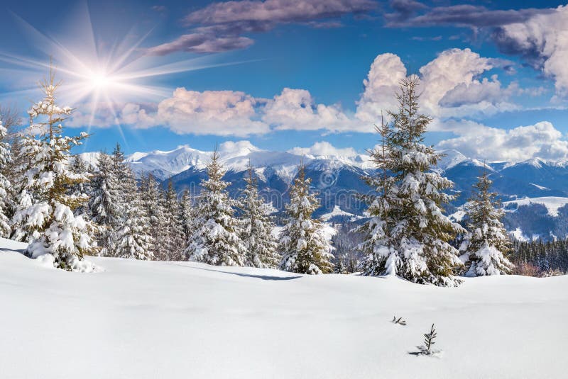 Beautiful winter landscape in mountains. Beautiful winter landscape in the mountains royalty free stock photography