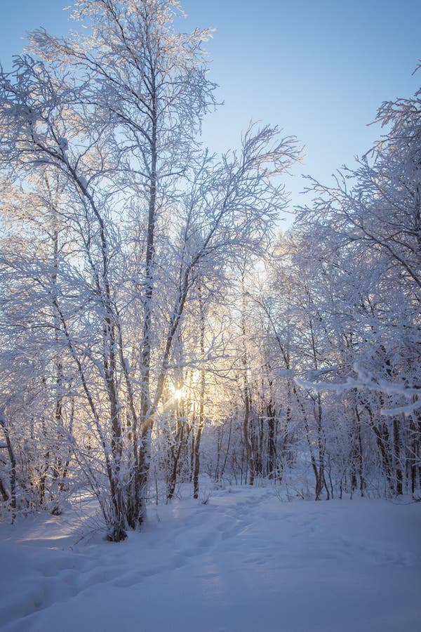 A Beautiful Winter Landscape In Norway Stock Image Image Of Weather