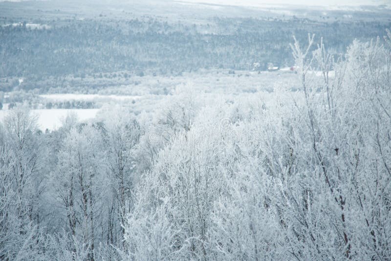 A beautiful winter landscape in Norway. North, scandinavia.