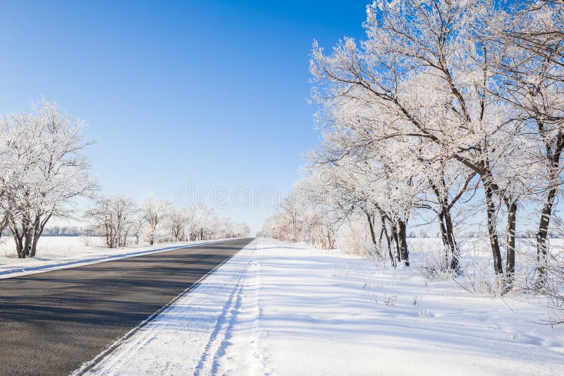 Beautiful winter landscape