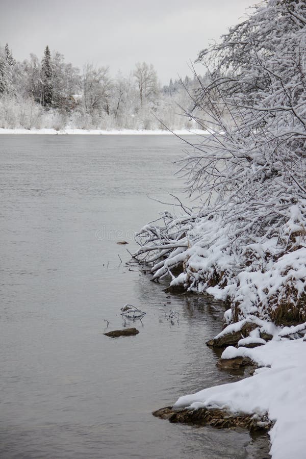 Beautiful winter landscape with snow-covered trees and flowing river. Snow forest and Winter background. Fabulous winter royalty free stock photo Beautiful winter landscape with snow-covered trees and flowing river. Snow forest and Winter background. Fabulous winter royalty free stock photo