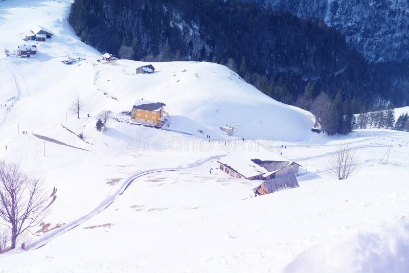 Beautiful Winter Landscape Snow Covered Trees Mountainpass Snowfall In The Mountains Swiss Beautiful Winter Landscape Snow Covered Trees Mountainpass Snowfall In The Mountains Swiss