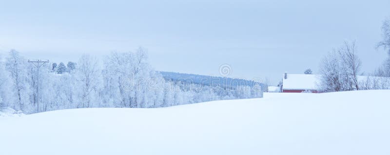 A beautiful winter landscape with snowy trees and mountains in a distance. Cold, north.