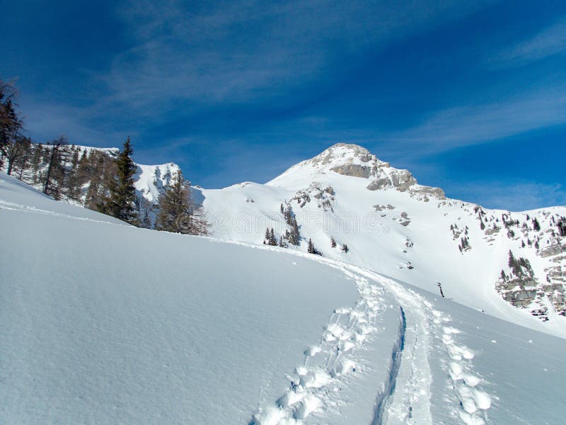 Beautiful winter lanscape skitouring in the alps royalty free stock photos