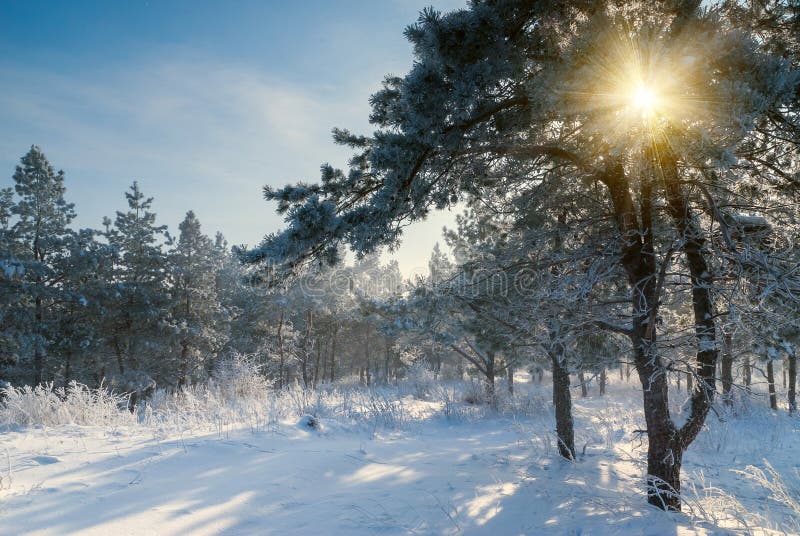 Beautiful winter morning