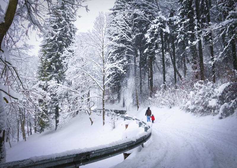 Beautiful winter view, snowy weather, couple of people dad and daughter holding hands walking on snow covered road