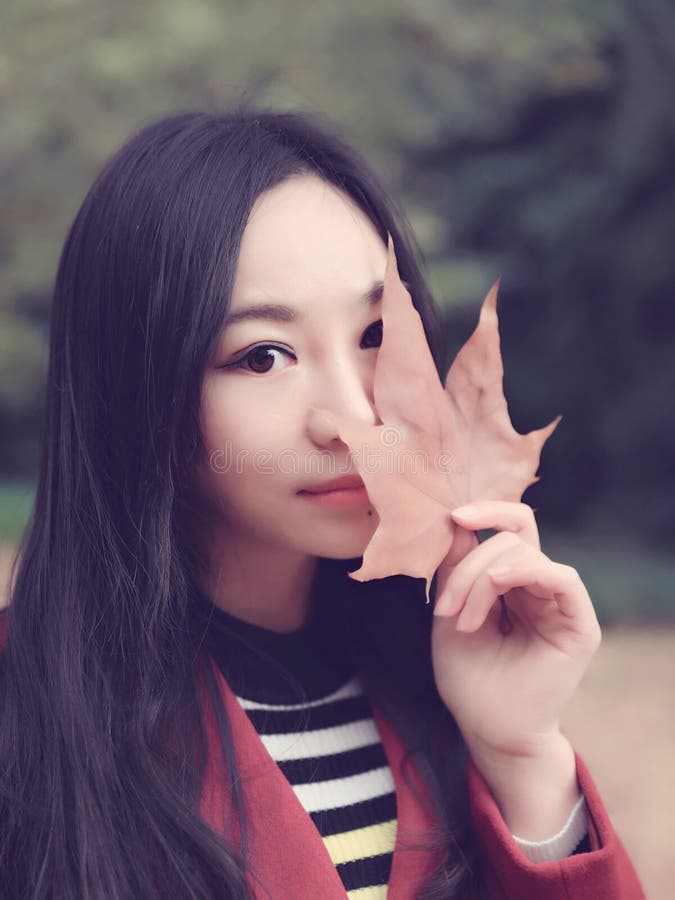 Beautiful woman with an autumn background stock photography Beautiful woman with an autumn background stock photography