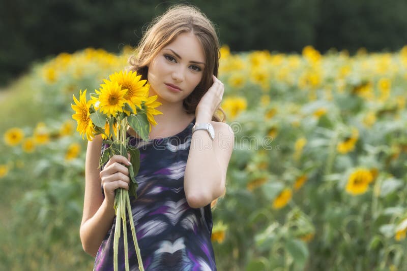 Beautiful woman on blooming sunflower field in summer royalty free stock images Beautiful woman on blooming sunflower field in summer royalty free stock images