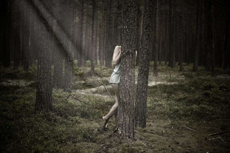 forest  hiding place - a Royalty Free Stock Photo from Photocase