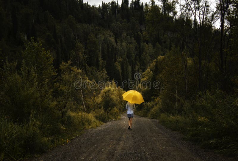 Beautiful woman hold yellow umbrella and walks on a country road under rain stock images Beautiful woman hold yellow umbrella and walks on a country road under rain stock images