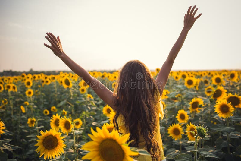 Beautiful woman with long hair hands up in a field of sunflowers