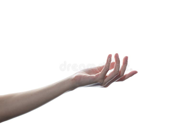 3 334 Beautiful Woman Hand Open Palm Up Photos Free Royalty Free Stock Photos From Dreamstime 3 334 Beautiful Woman Hand Open Palm Up Photos Free Royalty Free Stock Photos From Dreamstime