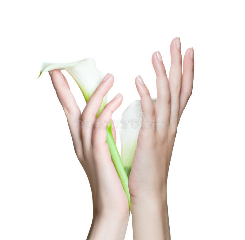 Beautiful woman`s hands with nails after manicure stock photography Beautiful woman`s hands with nails after manicure stock photography