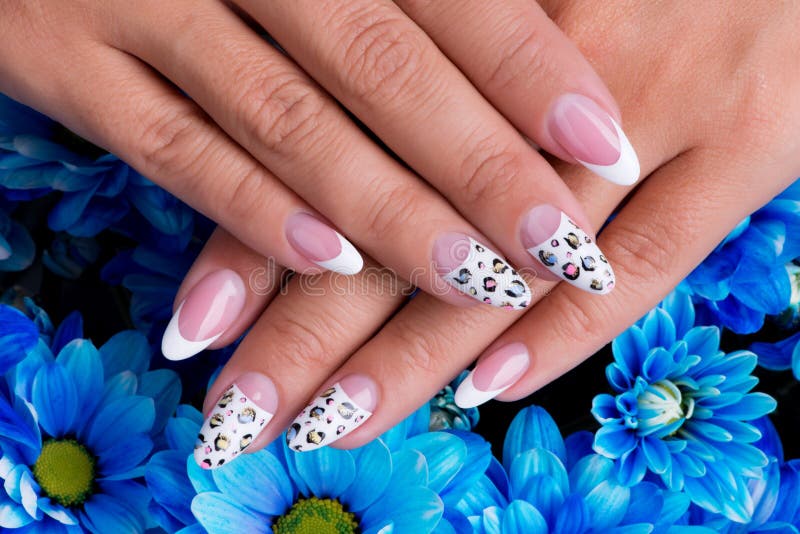 Beautiful woman's nails with french manicure royalty free stock images