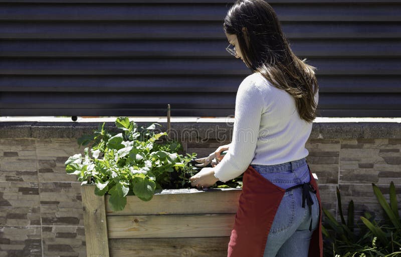 Beautiful Woman Taking Care Of Urban Vegetables Garden