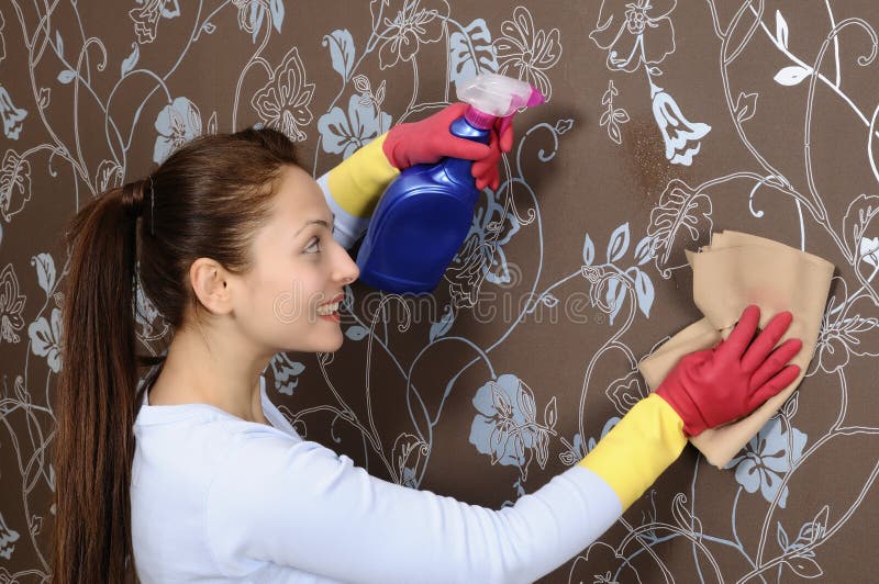 Beautiful women cleaning the house royalty free stock images