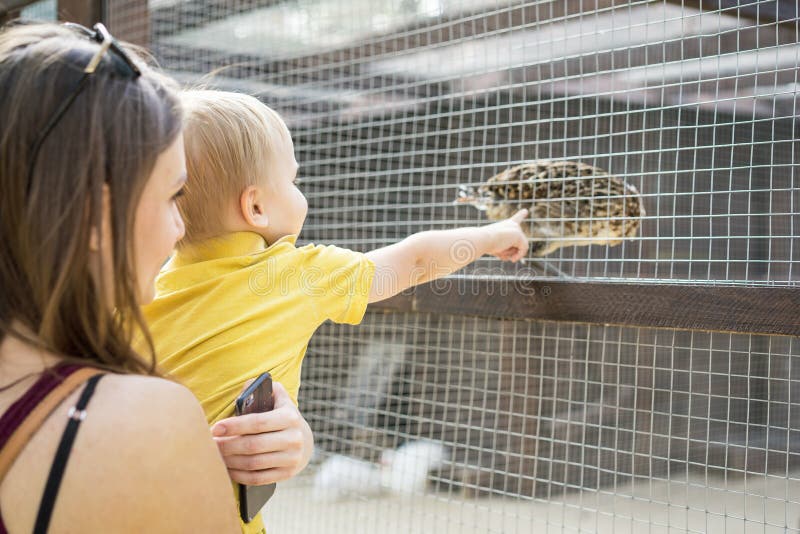Beautiful woman mother keeps her little son in zoo and they look at bird stock photography Beautiful woman mother keeps her little son in zoo and they look at bird stock photography