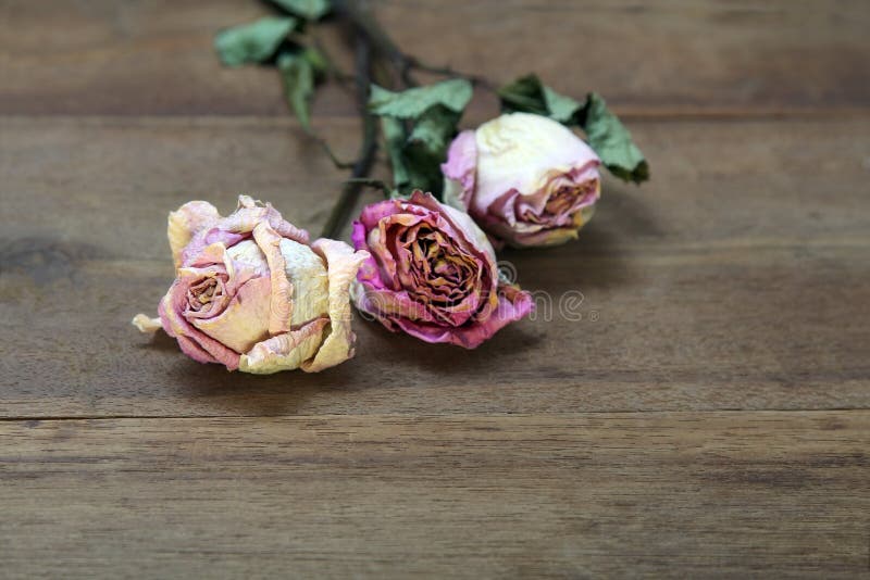 Beautiful wooden background with dried pink roses. stock photos Beautiful wooden background with dried pink roses. stock photos