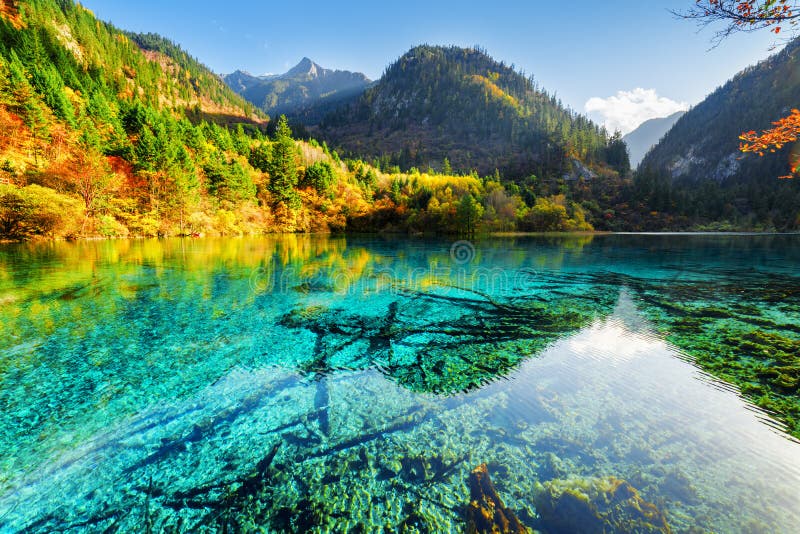 Autumn Forest And Lake In The Fall Season Stock Photo Image Of Leaves