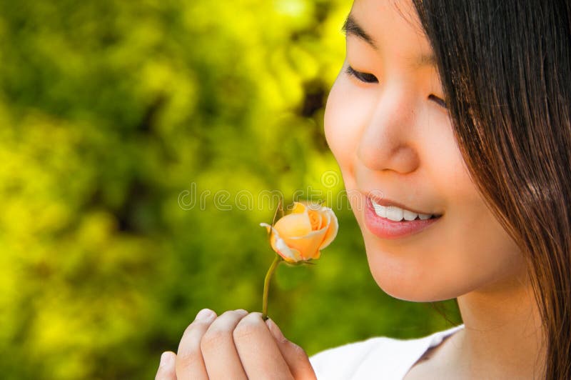 Close up portrait of beautiful young Asian woman holding and looking at a yellow rose bud. Yellow green blurred background. Horizontal. Copy space,. Close up portrait of beautiful young Asian woman holding and looking at a yellow rose bud. Yellow green blurred background. Horizontal. Copy space,