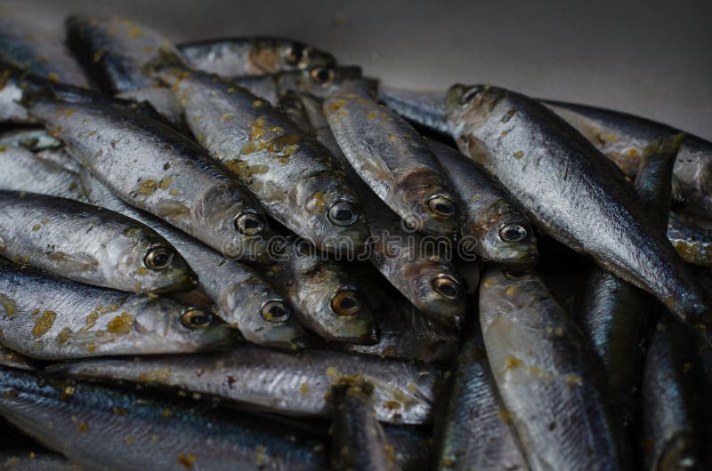 Gorgeous Bangalore Escorts in black bikini sunset