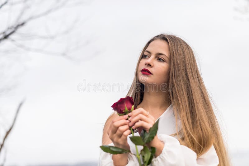 A Woman Covering her Face using Red Roses · Free Stock Photo