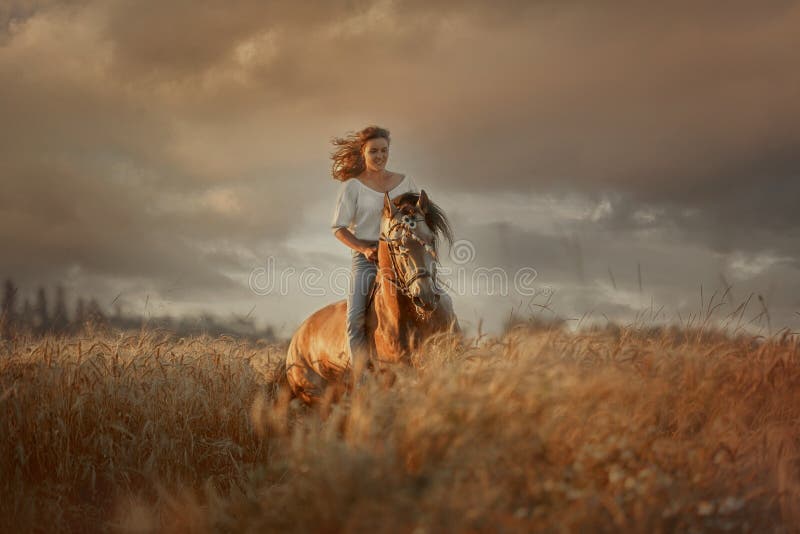 Beautiful  young woman on spanish buckskin horse in rue field