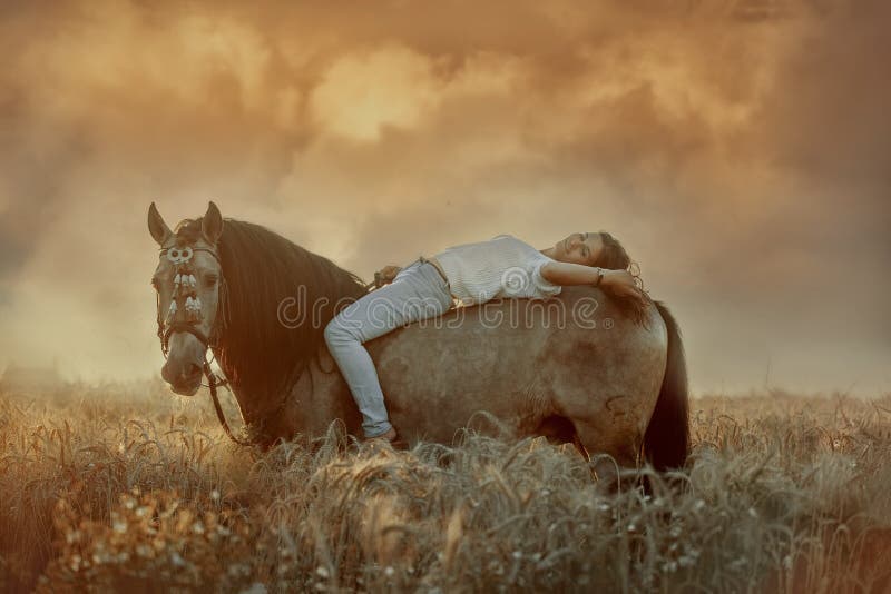 1 306 Buckskin Horse Photos Free Royalty Free Stock Photos From Dreamstime