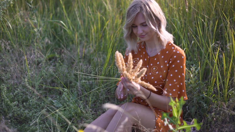 Beautiful young woman walks in the field collects a bouquet of flowers and spikelets. Portrait of attractive female on grass at su stock photography Beautiful young woman walks in the field collects a bouquet of flowers and spikelets. Portrait of attractive female on grass at su stock photography