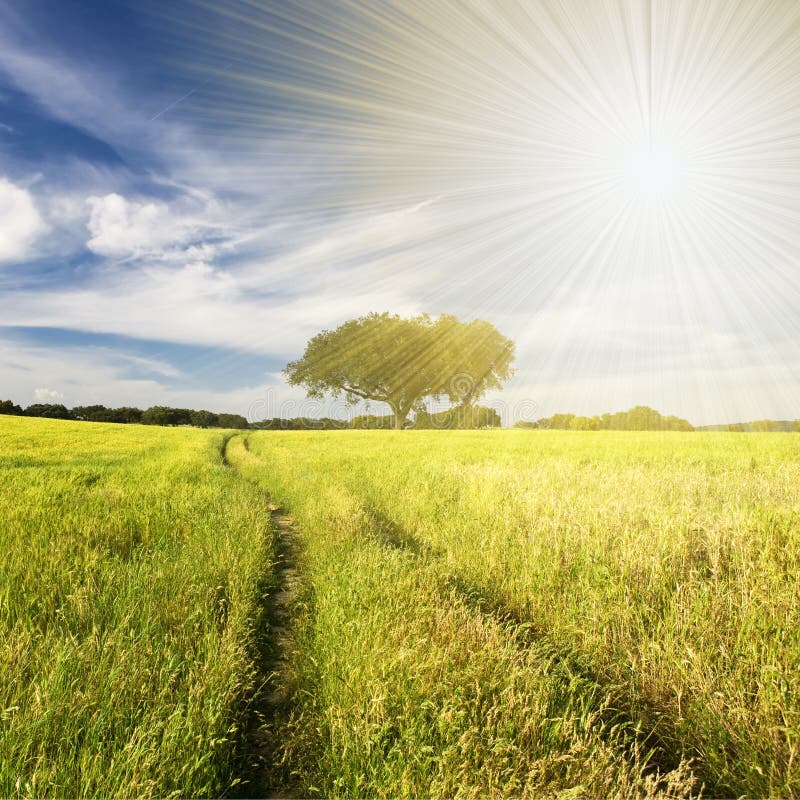 Beautifull landscape with sunrays